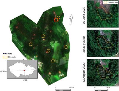 Early detection of bark beetle infestation using UAV-borne multispectral imagery: a case study on the spruce forest in the Czech Republic